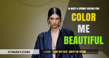 Navy: The Unexpected Spring Hue for Color Me Beautiful