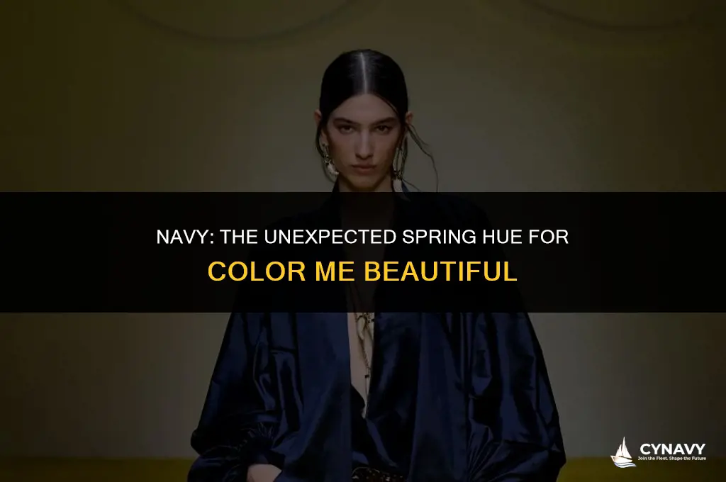 is navy a spring colors for color me beautiful