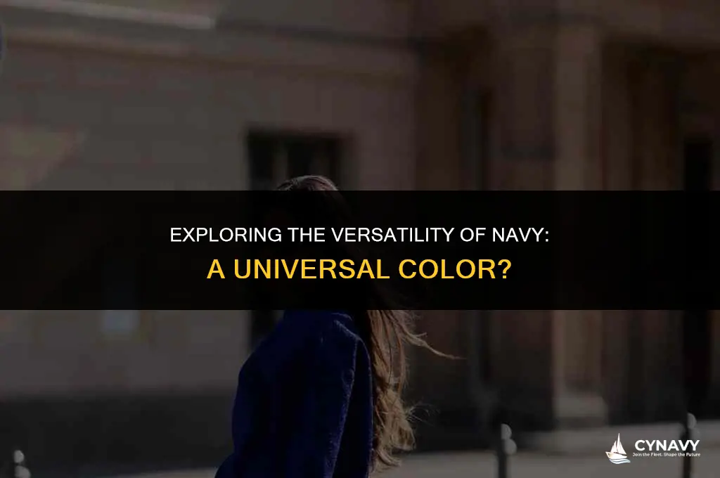 is navy a universal color