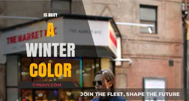 Exploring the Versatility of Navy: A Winter Color?