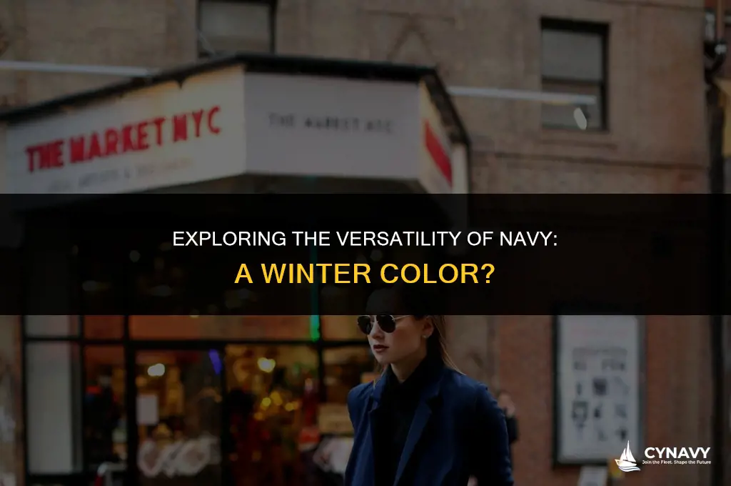 is navy a winter color