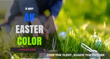 Exploring the Connection: Navy Blue and Easter Color Palette
