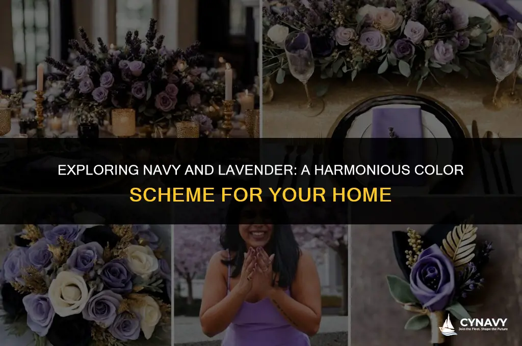 is navy and lavender a good color scheme