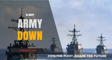 Exploring the Current State of Naval and Army Strength