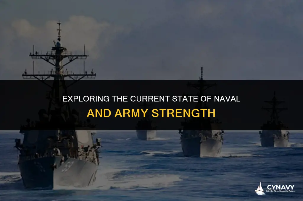 is navy army down