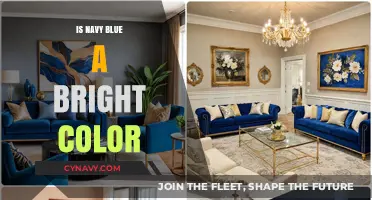 Exploring the Depths of Navy Blue: Is It Truly a Bright Color?