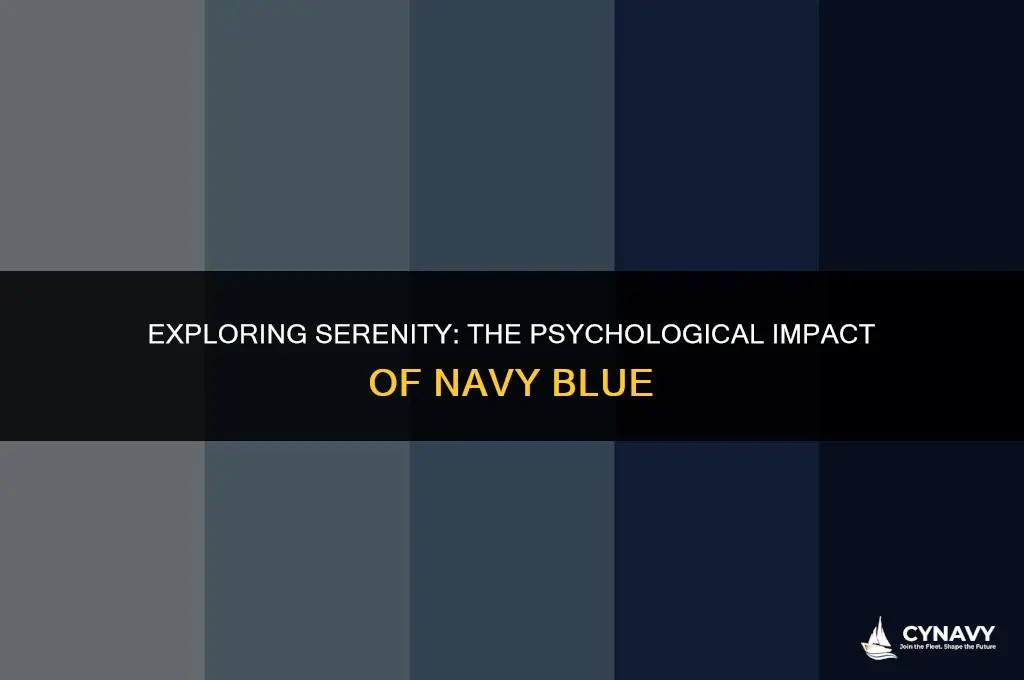 is navy blue a calming color