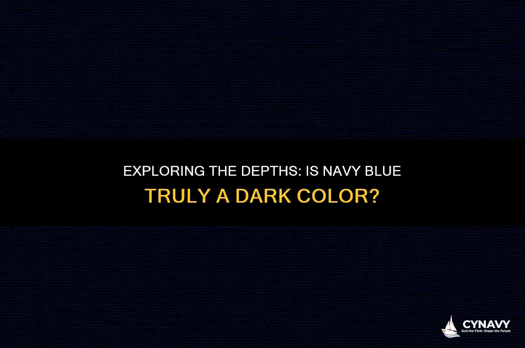 is navy blue a dark color