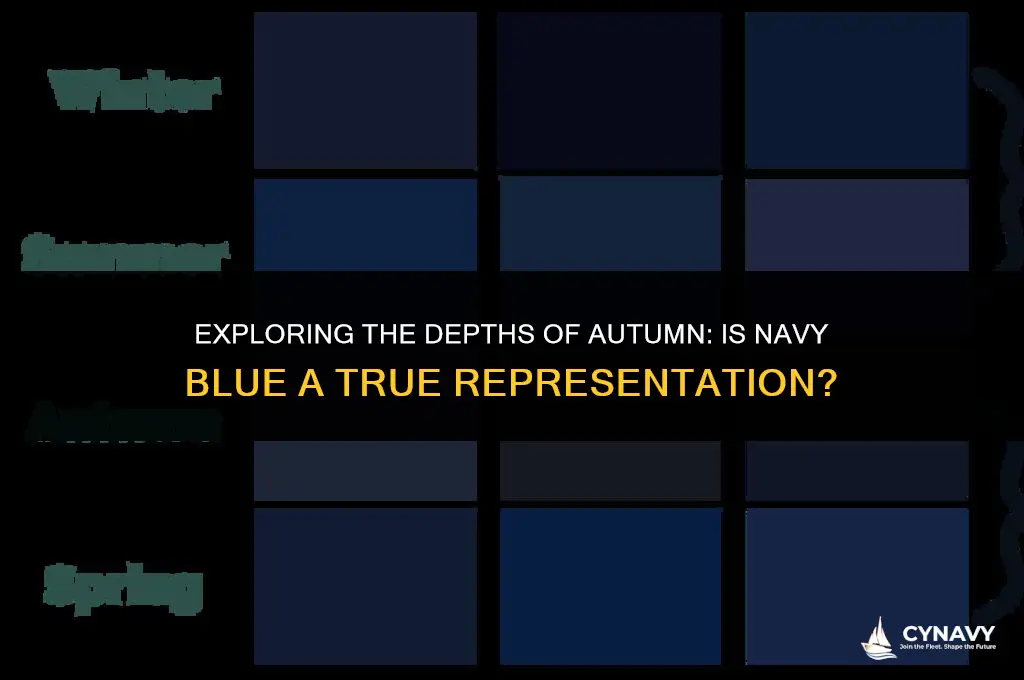 is navy blue a deep autumn color