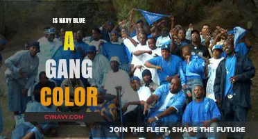 Decoding the Myth: Navy Blue and Gang Affiliation