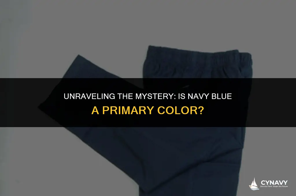 is navy blue a primary color
