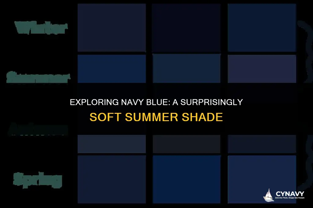 is navy blue a soft summer color