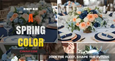 Exploring the Versatility of Navy Blue in Spring Fashion