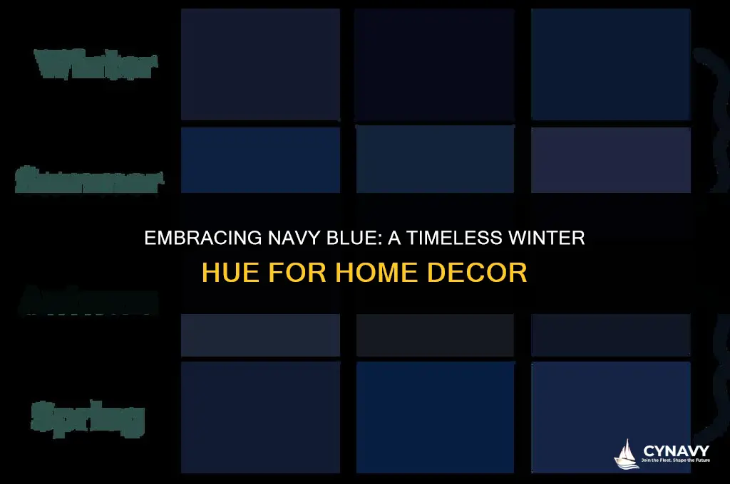 is navy blue a winter color for decorating