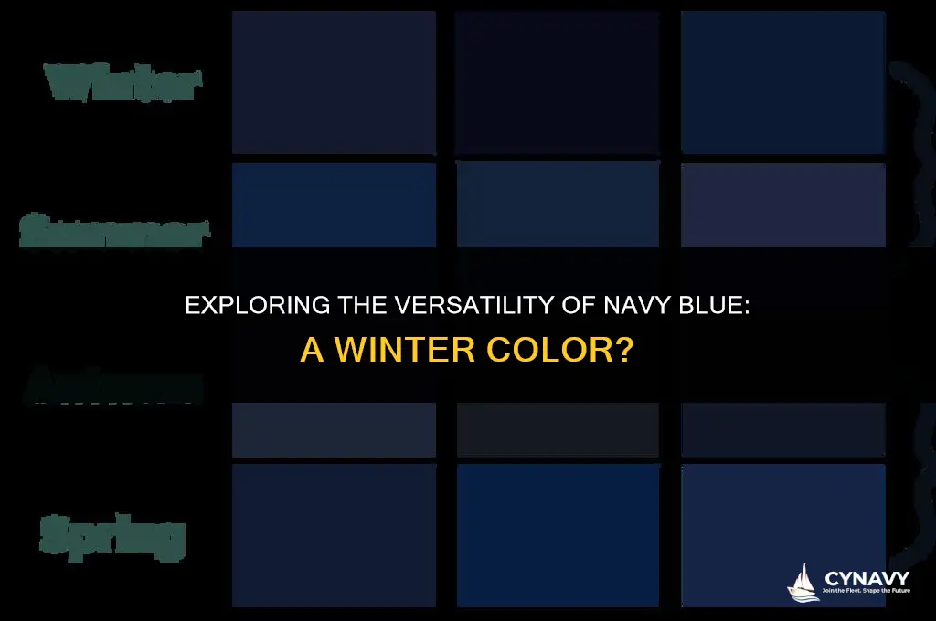 is navy blue a winter color