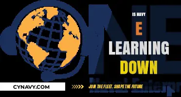 Exploring the Status of Navy E-Learning: Is It Down or Up?