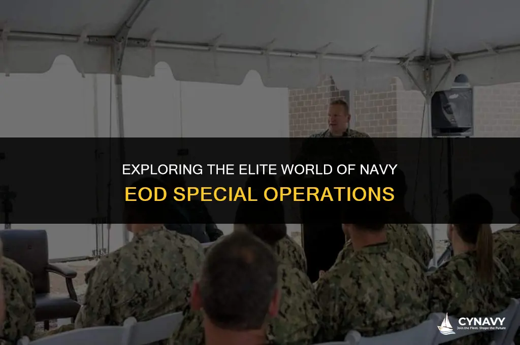 is navy eod special operations