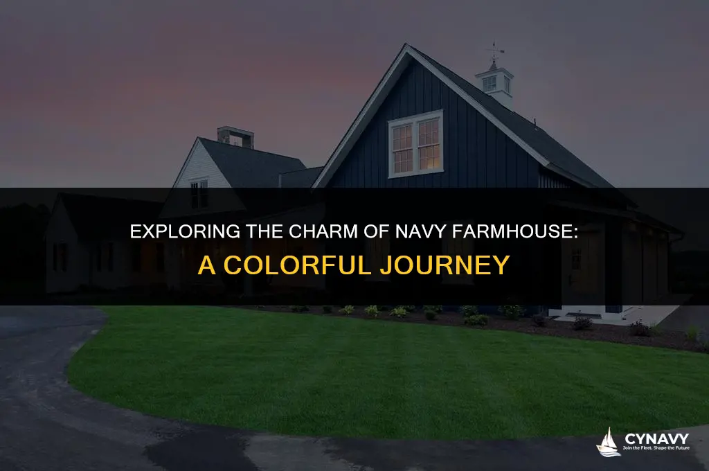 is navy farmhouse color