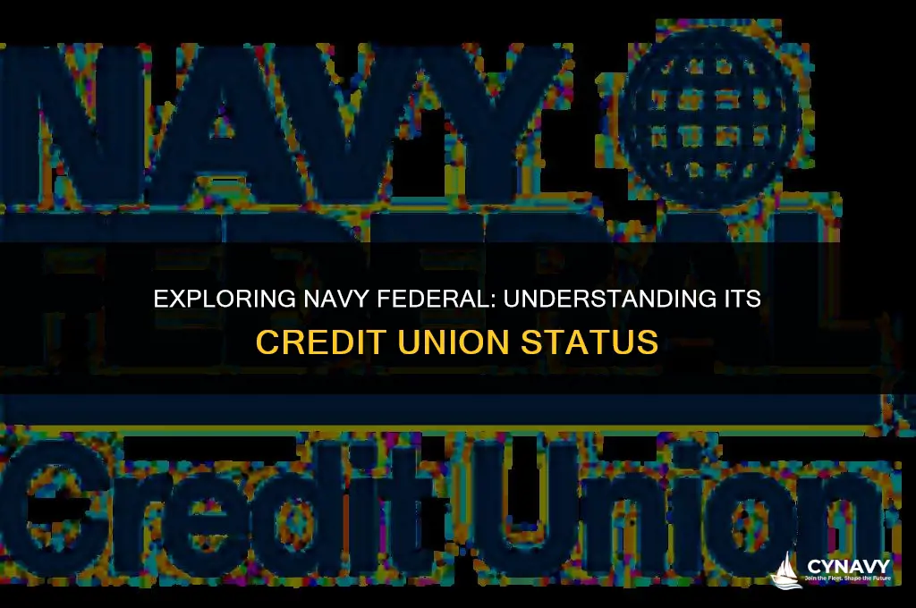 is navy federal a credit union