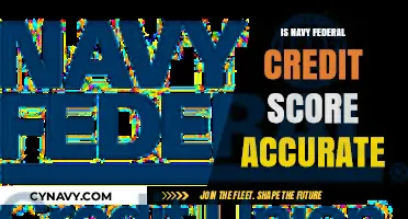 Decoding Navy Federal Credit Scores: Accuracy and Insights