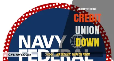 Exploring the Status of Navy Federal Credit Union Services