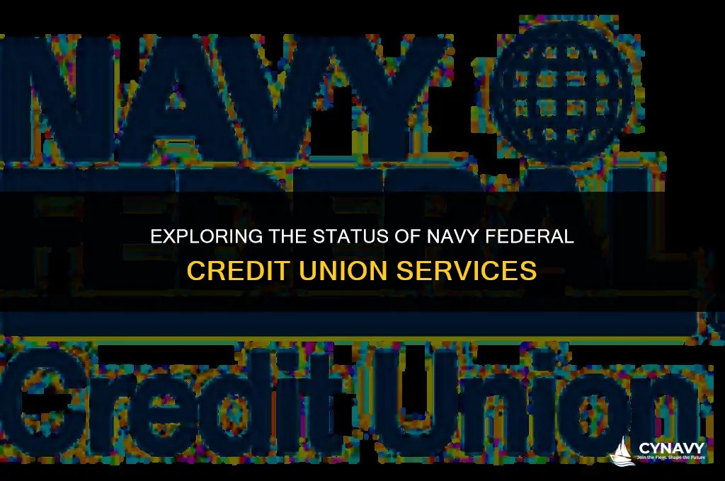 is navy federal credit union down