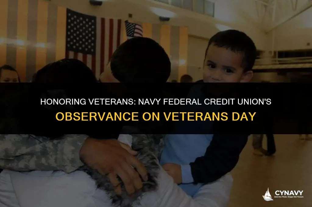 is navy federal credit union open on veterans day
