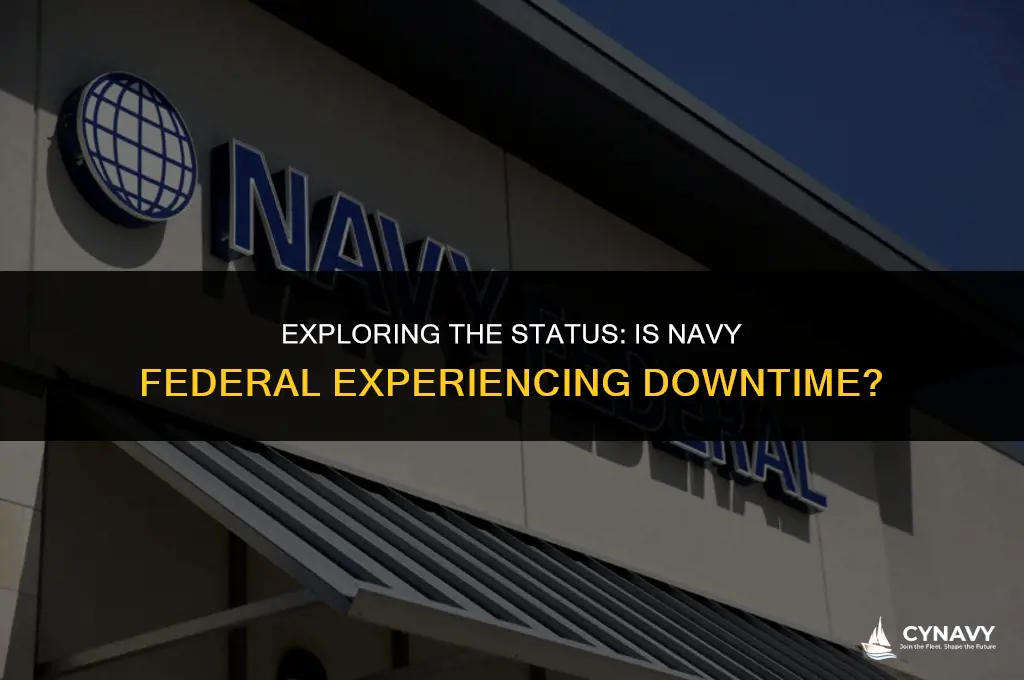 is navy federal down