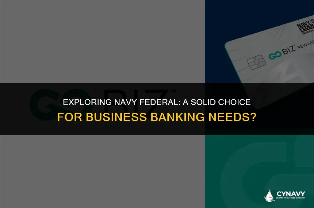 is navy federal good for business accounts
