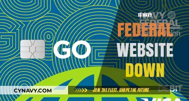 Exploring the Status of Navy Federal's Website: Is It Down?