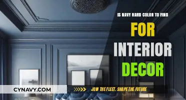 Exploring the Elusive Navy: A Quest for Interior Decor Harmony