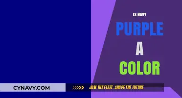 Exploring the Depths of Navy Purple: Is It Truly a Color?
