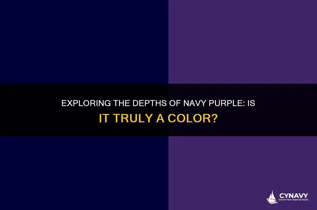 is navy purple a color