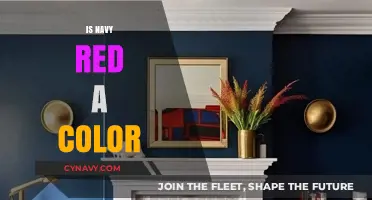 Exploring the Richness of Navy Red: Is It Truly a Color?