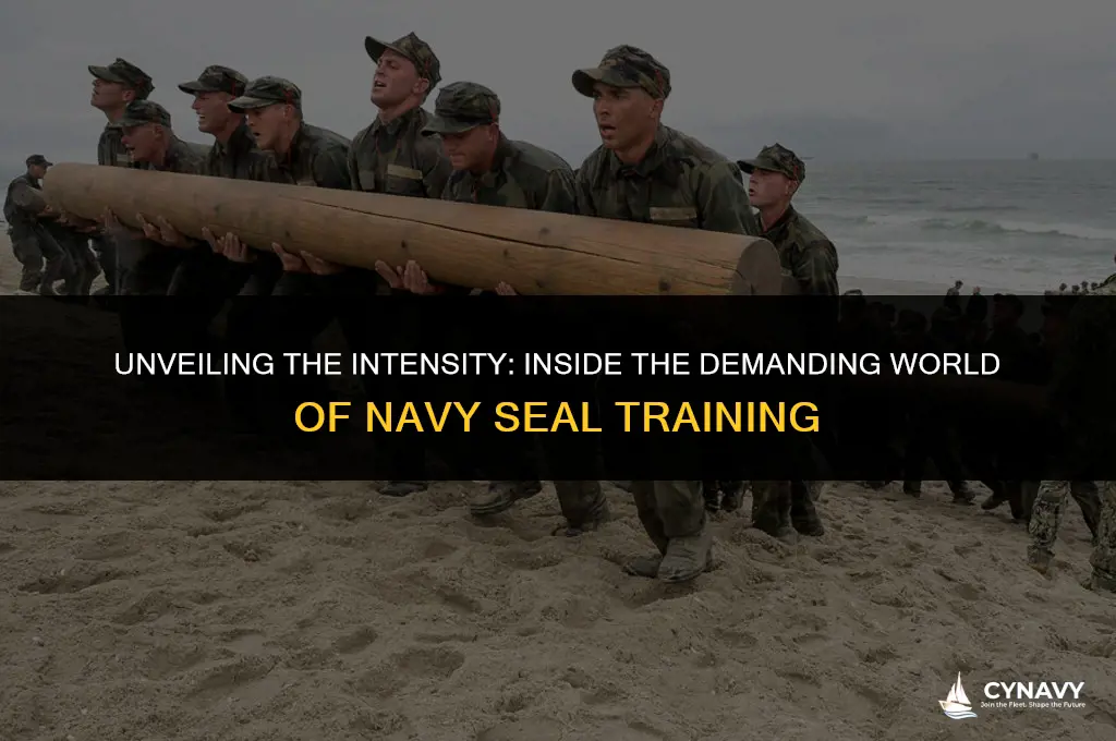 is navy seal training hard