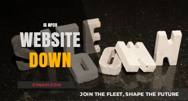 Exploring the Status of NFCU's Website: Is It Down?