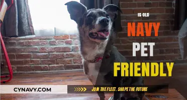 Paws and Shop: Exploring Old Navy's Pet-Friendly Policies