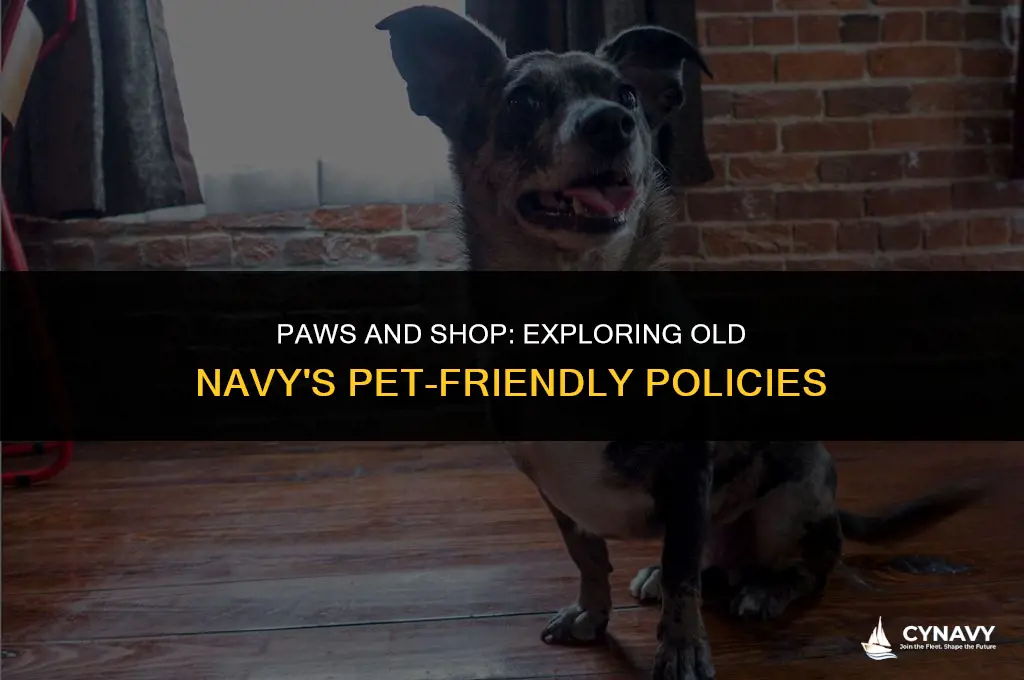 is old navy pet friendly