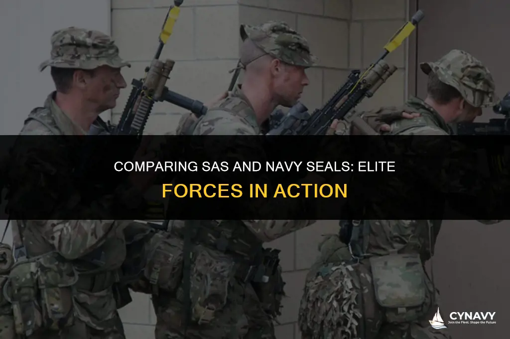 is sas equivalent to navy seals