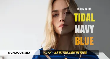 Exploring the Depths of Tidal Navy Blue: A Comprehensive Guide