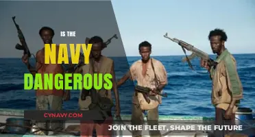 Exploring the Risks and Rewards of a Navy Career