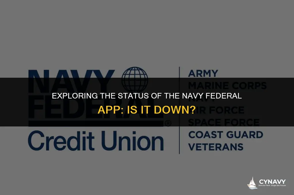 is the navy federal app down