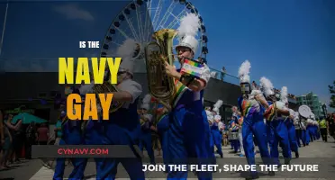 Exploring Diversity: Is the Navy Gay-Friendly?