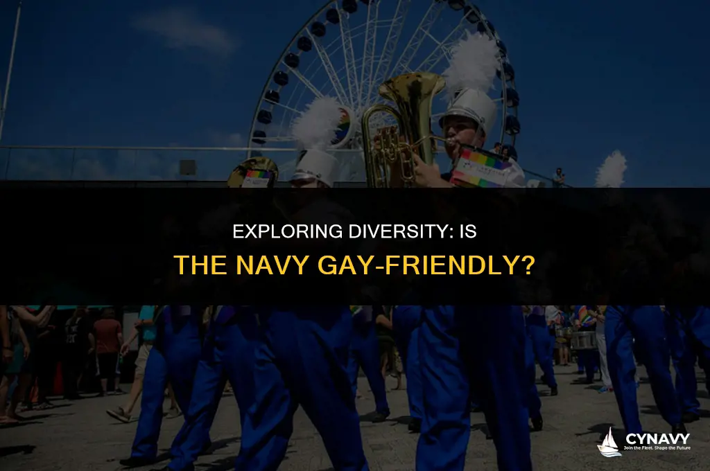 is the navy gay