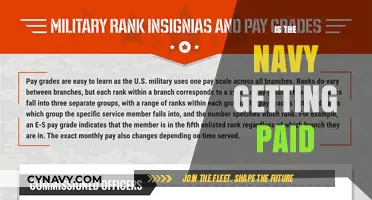 Are Navy Personnel Receiving Fair Compensation? Exploring Military Pay Structure