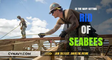 Are Seabees Facing Elimination? Navy's Future Plans Examined