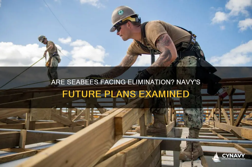 is the navy getting rid of seabees
