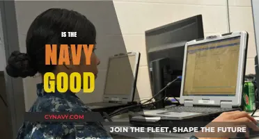 Exploring the Merits and Drawbacks of a Career in the Navy