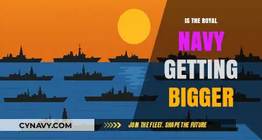 Is the Royal Navy Expanding? Analyzing Fleet Growth and Future Plans