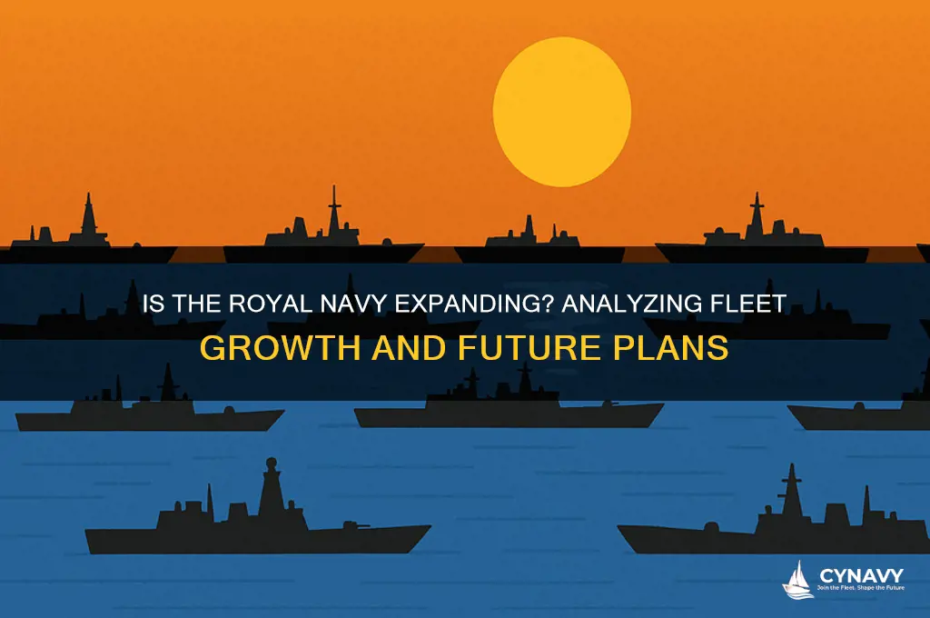 is the royal navy getting bigger